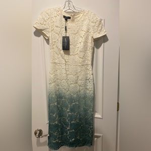 Burberry Prorsum Ombré lace dress